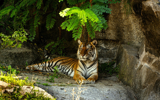 1754875 (a): :1920x1200